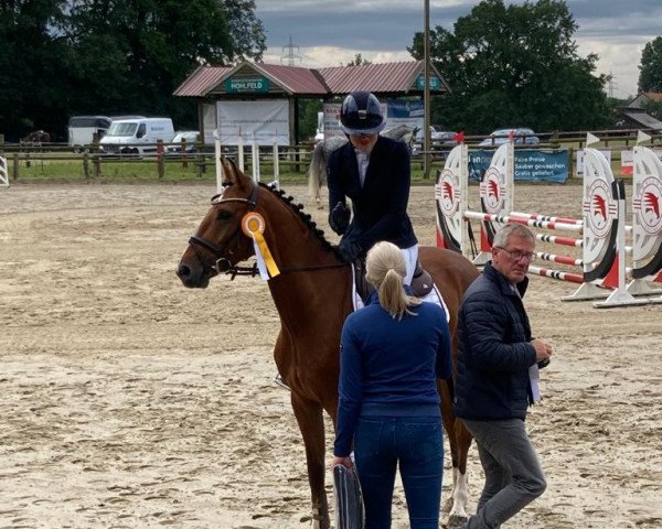 jumper Diacouleur Bw (Westphalian, 2018, from Dia Corrado)