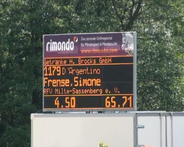 jumper D'Argentino (Hanoverian, 2007, from De Niro)