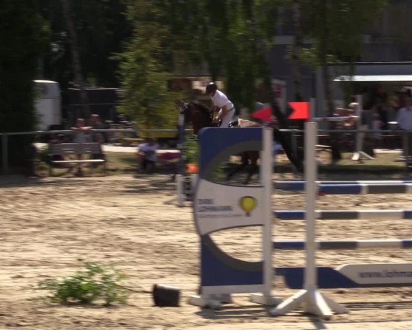 Reitturnier Herbern 2022