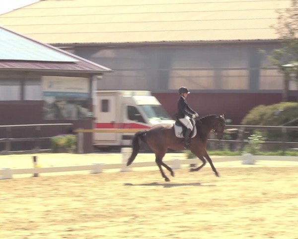 Reitturnier Marienheide-Kempershöhe 2022