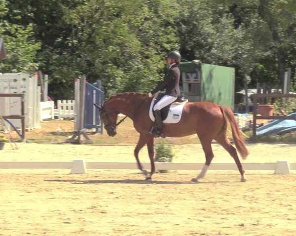 Reitturnier Marienheide-Kempershöhe 2022