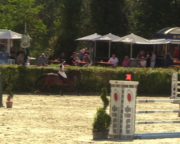 Reitturnier Vlotho-Exter 2022