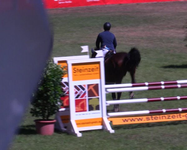 Reitturnier Cottbus-Sielow 2022