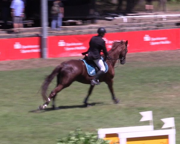 Reitturnier Cottbus-Sielow 2022