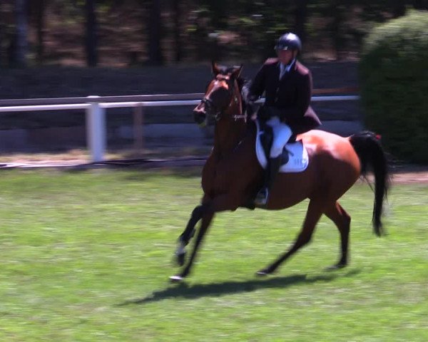 Reitturnier Cottbus-Sielow 2022