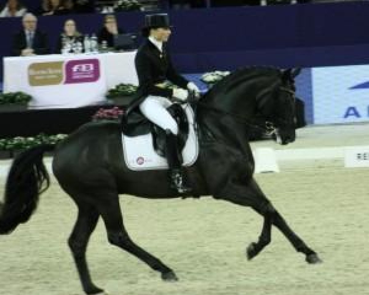 stallion Santana (Hanoverian, 2001, from Sandro Hit)