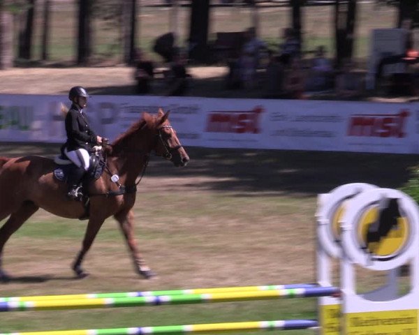 Reitturnier Cottbus-Sielow 2022