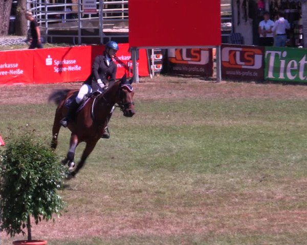 Reitturnier Cottbus-Sielow 2022
