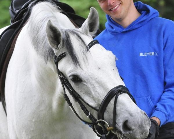 horse Sir Bernhard RS v.d. Wintermühle (Oldenburg, 2002, from Sunny-Boy)