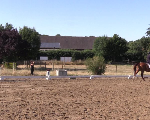 Reitturnier Halle-Seeben 2022