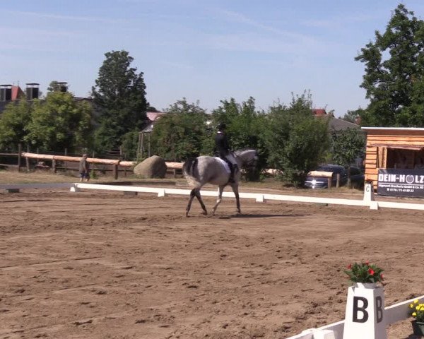 Reitturnier Halle-Seeben 2022