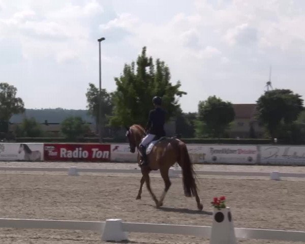 Reitturnier Rot am See- Musdorf 2022
