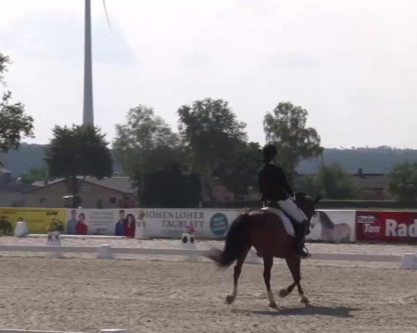Reitturnier Rot am See- Musdorf 2022