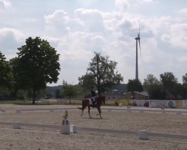 Reitturnier Rot am See- Musdorf 2022