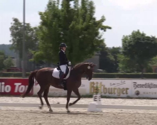 Reitturnier Rot am See- Musdorf 2022