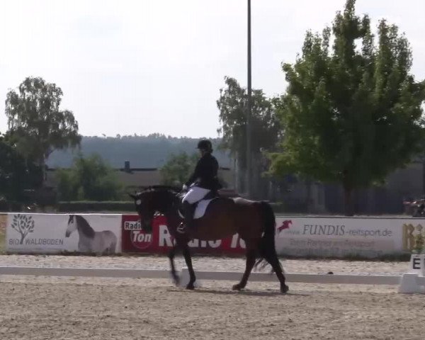 Reitturnier Rot am See- Musdorf 2022
