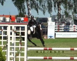 horse Samsonite (unknown,  )