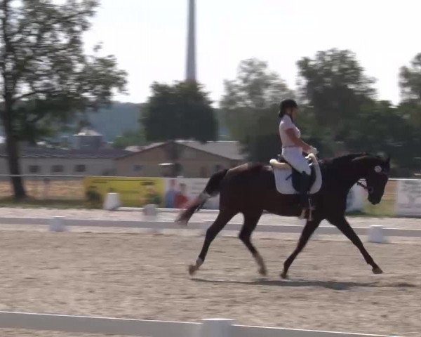Reitturnier Rot am See- Musdorf 2022