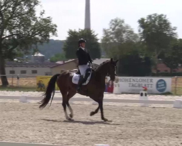 Reitturnier Rot am See- Musdorf 2022