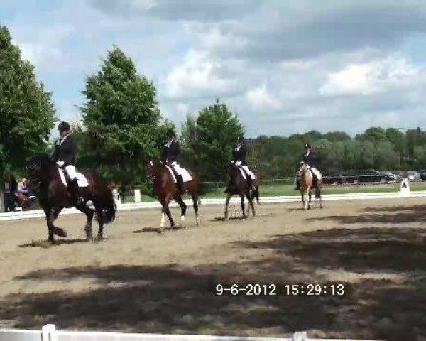 broodmare Jara (German Riding Pony, 1988, from Brillant)