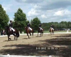 broodmare Jara (German Riding Pony, 1988, from Brillant)