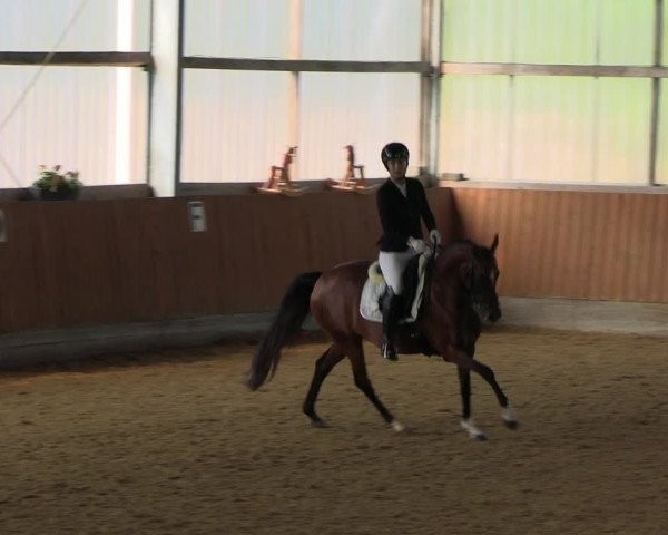 Reitturnier Herbern 2022