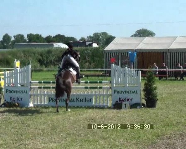 broodmare Dancing Queen W (Hanoverian, 2003, from Drosselklang II)