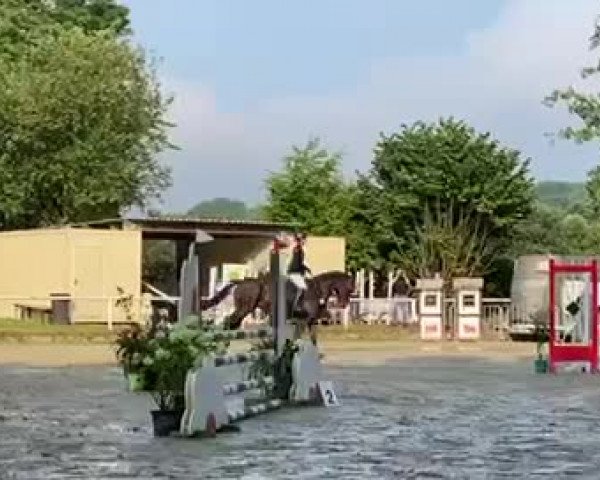 Video von S- Cada