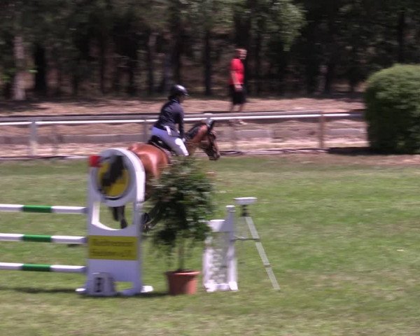 Reitturnier Cottbus-Sielow 2022