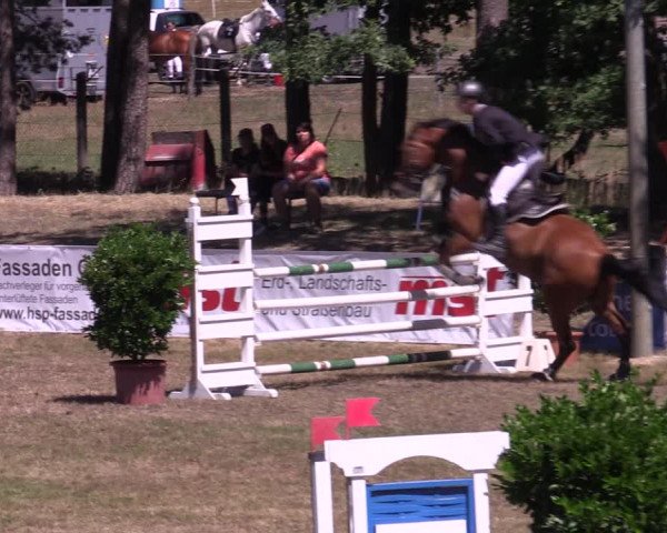 Reitturnier Cottbus-Sielow 2022