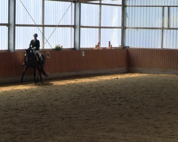 Reitturnier Herbern 2022
