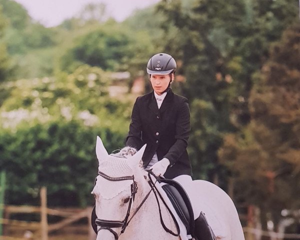 dressage horse Mia 93 (Hanoverian, 2005, from Magic Boy)