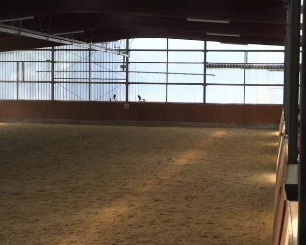 Reitturnier Herbern 2022