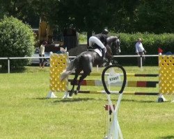 jumper Chem 3 (unknown, 2006)
