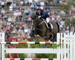 jumper G I G Amai (Belgian Warmblood, 2000, from Nonstop)