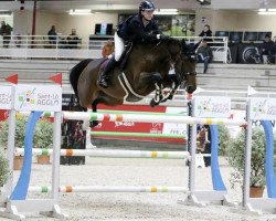 jumper Caliska de Vesquerie (Selle Français, 2012, from Tresor)