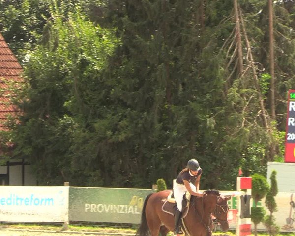 Reitturnier Vlotho-Exter 2022