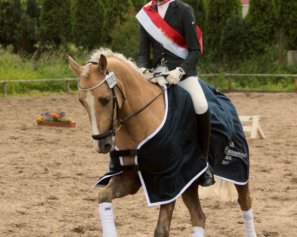 dressage horse Nikis Nougat (German Riding Pony, 2005, from Nacromancer in the dark)