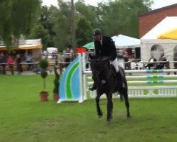 jumper Idream (Latvian Warmblood, 2007, from Irasir)
