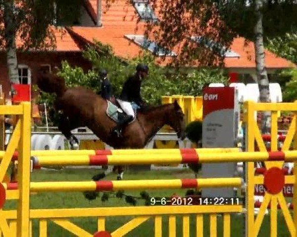jumper Lucky Luciano 26 (Hanoverian, 2002, from Le Primeur)