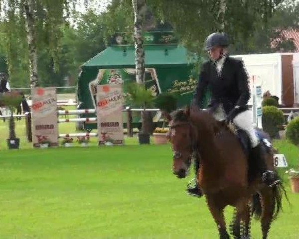 jumper Lüttke Vroni (Hanoverian, 2007, from Vulkano FRH)