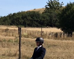 dressage horse Hercules (Lusitano, 2012, from Omega)