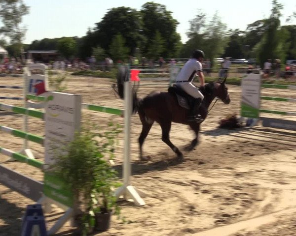 Reitturnier Herbern 2022