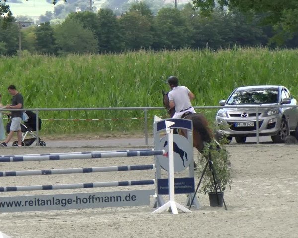 Reitturnier Ehningen 2022