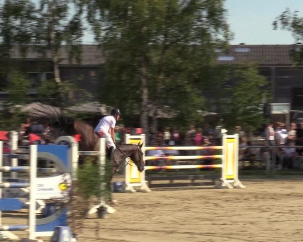 Reitturnier Herbern 2022