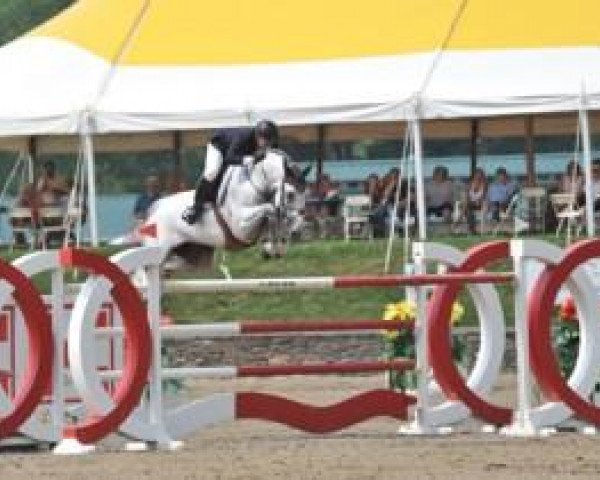 jumper Antares F (Württemberger, 2000, from Araconit)