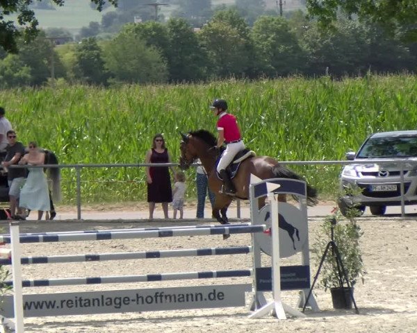 Reitturnier Ehningen 2022