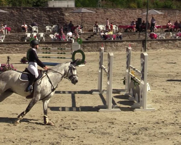 Reitturnier Nörten-Hardenberg 2022