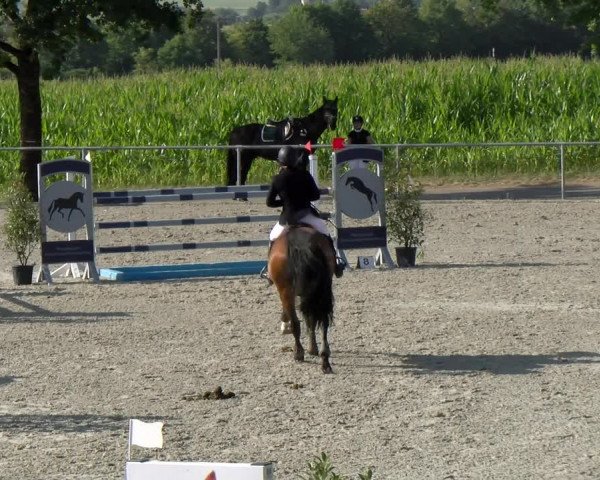 Reitturnier Ehningen 2022