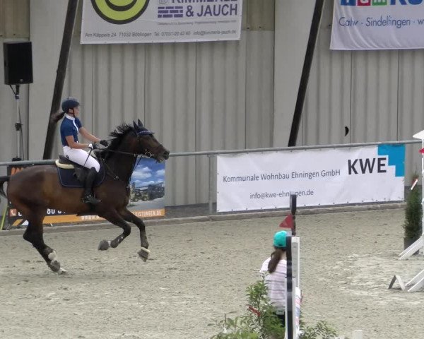 Reitturnier Ehningen 2022